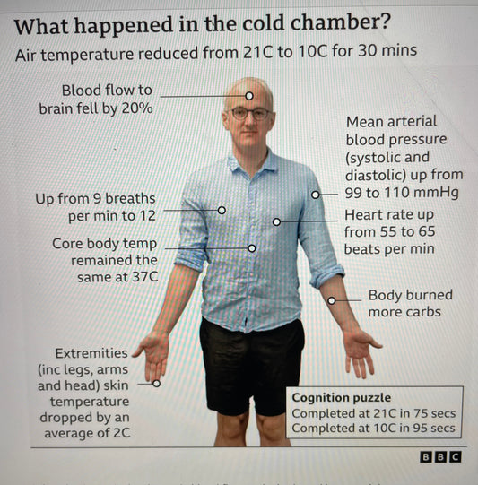Can buying a Merino Second Skin save you money and help you think better